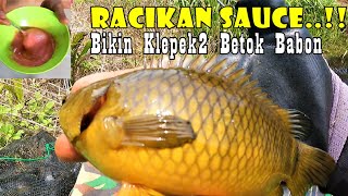 Awesome Bait || Essen for Swamp Climbing Perch Fishing || Mamba Hobby