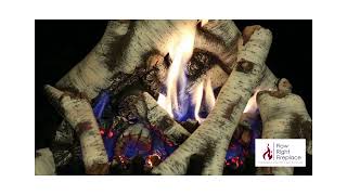 Marquis Collection bentley 39 or 42 Birch logs