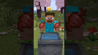 Minecraft Which soup is the best soup? #minecraft #minecraftanimation #shorts