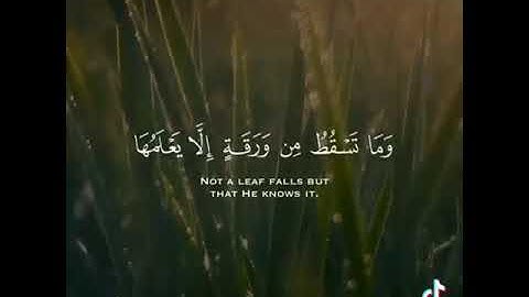 ادريس ابكر - سورة الأنعام