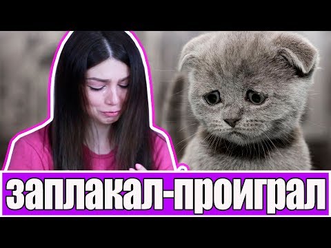 ЗАПЛАКАЛ - ПРОИГРАЛ: ВЫ БУДЕТЕ ПЛАКАТЬ ВМЕСТЕ С НАМИ