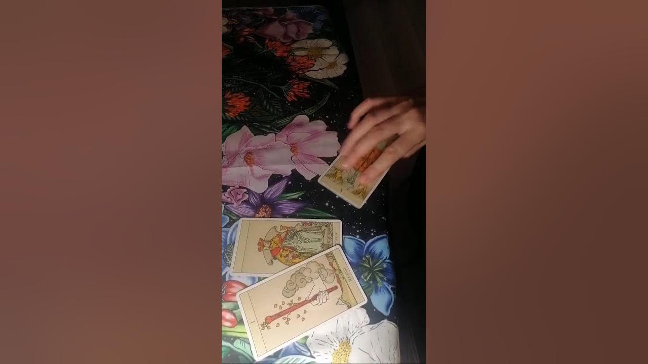 Черная магия обряды Таро. в прямом эфире! - YouTube