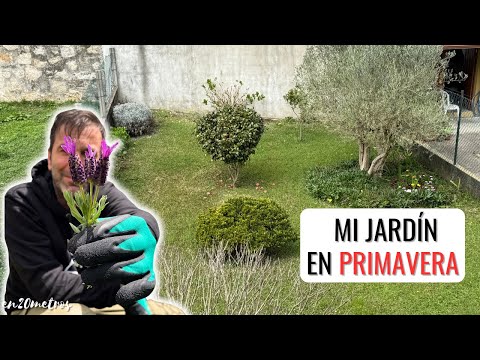 Cómo está MI JARDÍN EN PRIMAVERA: actualización después de las podas