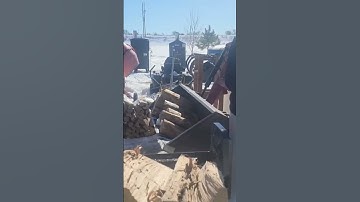 Firewood Splitting into IBC Tote #shorts