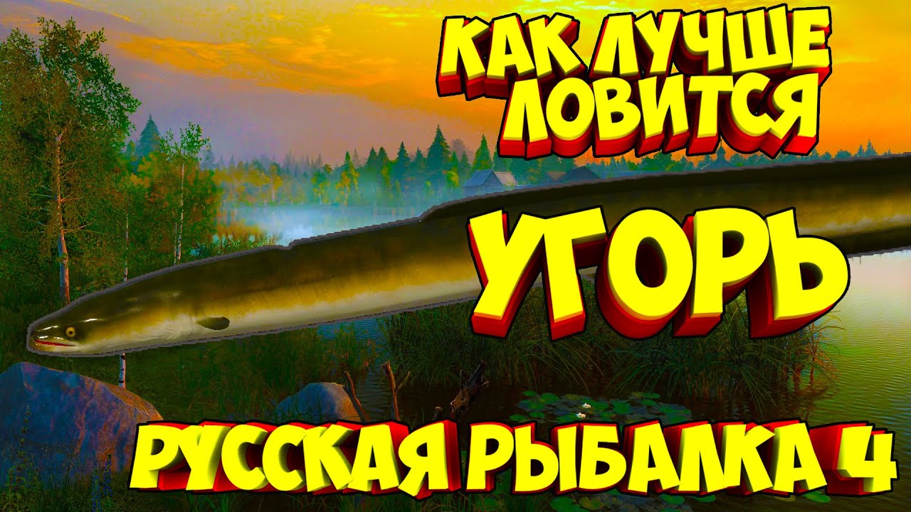 Рр3 волга угорь
