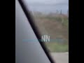 Ιόνια Οδός: Τρόμος από λύκο που κυκλοφορεί στον αυτοκινητόδρομο (βίντεο)