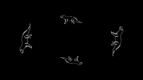 Evolution of Man, Holographic Animation For Use With HoloQuad Pyramid Hologram MMD