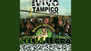 Video thumbnail of "Selva Negra - Popurri Salvaje (En vivo)"