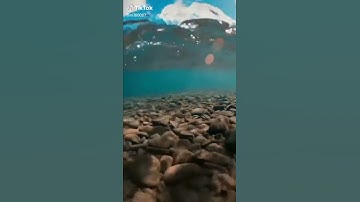 القران الكريم 517