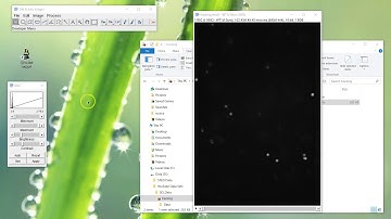 Fiji Is Just ImageJ - Export Data Tiff - Volocity .mvd2