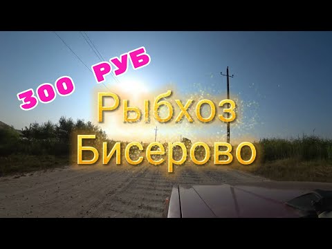 #Рыбхоз На рыбалку с сыном ! Рыбокомбинат в Бисерово.