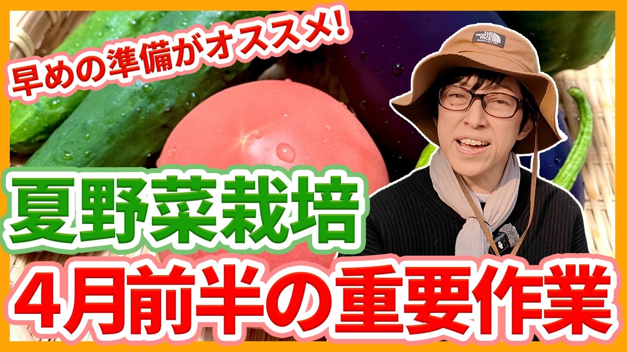 家庭菜園シーズン間もなく到来 新刊紹介◇菜園ライフを応援します！～家庭菜園雑誌『やさい畑』夏号の