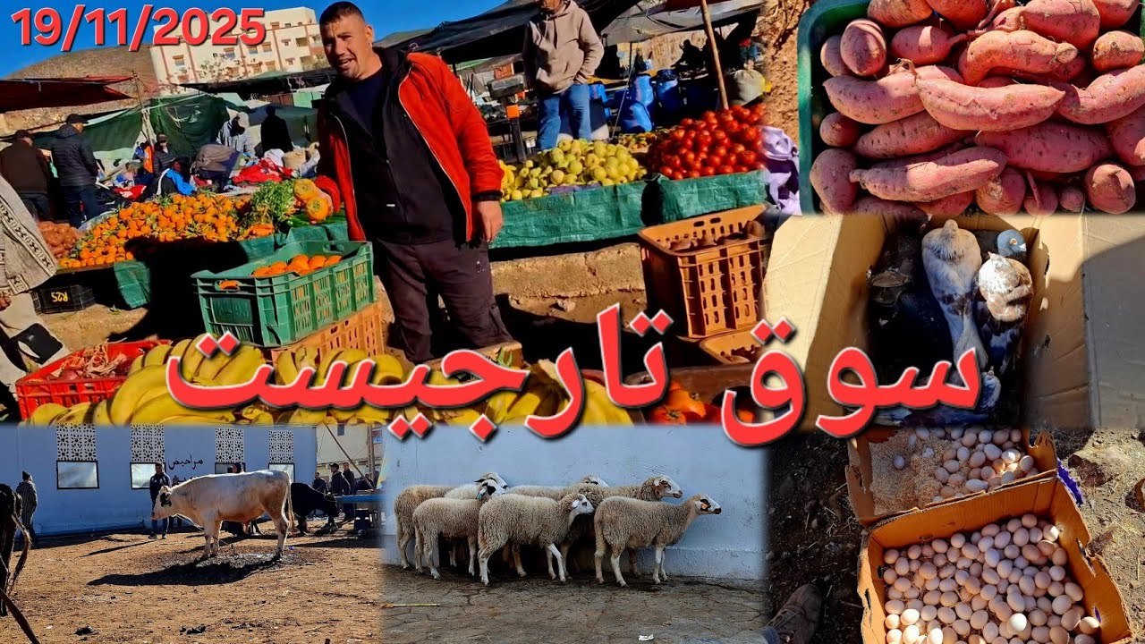 جولة في سوق الأسبوعي الأربعاء تارجيست. 🐏🐂🍅🥔 19/11/2025 Targuist