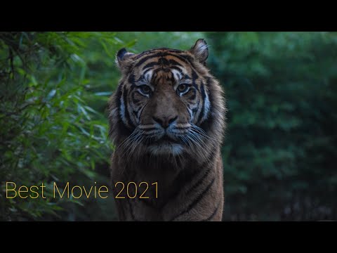 Best movie 2021-female tiger-tiger warrior-best action movie