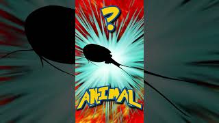 Who&#39;s That ANIMAL?! (ep. 57) #shorts #animals #quiz | Animal Fact Files