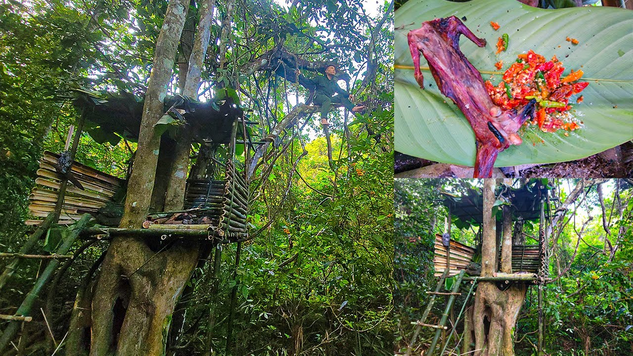 SURVIVE ALONE IN THE FOREST - Build a Bamboo Shelter on a Large Tree ...