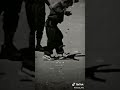 علي حسب الريح ما يودي الريح ونا ماشي ماشي ولا بيدي