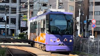 （MHあり！直前横断あり）都電8800形8806編成が大塚駅前に早稲田行きとして到着停車する動画（2024.5.2）