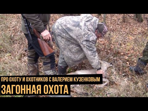 Загонная охота / Про охоту и охотников с Валерием Кузенковым. Сезон 1
