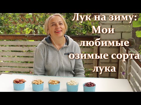 Посадка лука на