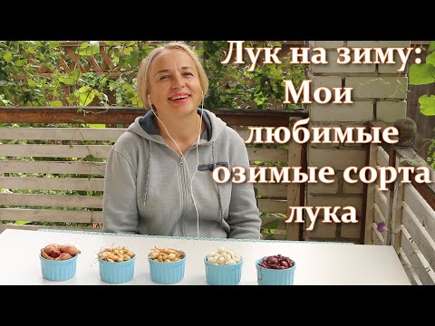 Видео: Зимни сортове лук. Отглеждане на зимен лук