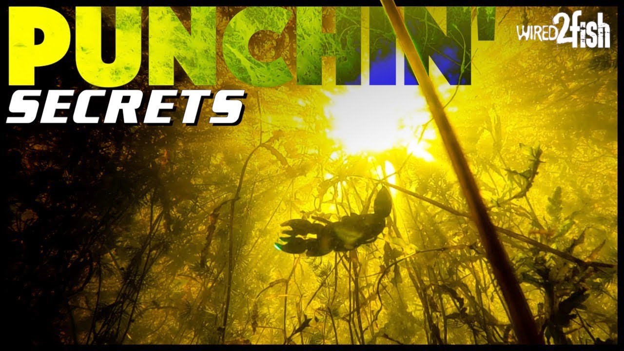 Punching Matted Grass for Bass 6 Key Tips Beginner to Expert YouTube