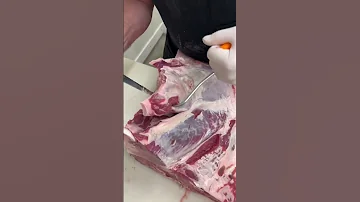 Where Flat Irons Come From Shorts 