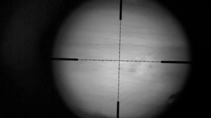 119 pound Boar taken down with a .22 LR at night