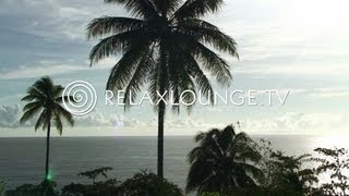 Loungemusik - Gitarren Musik, Harmonie, Wellness & Paradies - OCEAN LOUNGE