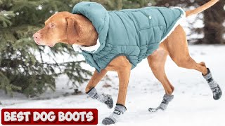 Protect Your Pup's Paws: Top-Rated Dog Boots for All-Weather Adventures and Safety by Pet Needs 57 views 1 month ago 12 minutes, 17 seconds