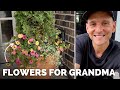 A Colorful Flowerpot for Grandma + Planting a Succulent Container | Gardening with Wyse Guide