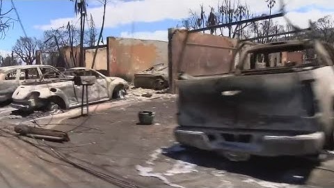Videos of downed power lines become key evidence in search for cause of Maui wildfires