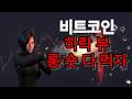 비트코인 이렇게 대응하면 질 수가없습니다.