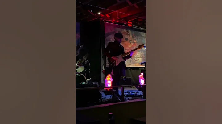 Himalayan Hendrix - Charlotte, North Carolina
