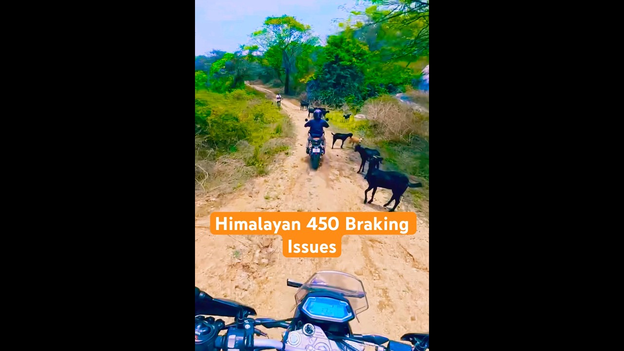 Himalayan 450 Rear Brake Issue Explained 