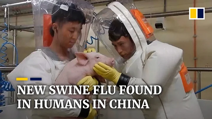New type of swine flu found in China has human pandemic potential, researchers say - DayDayNews