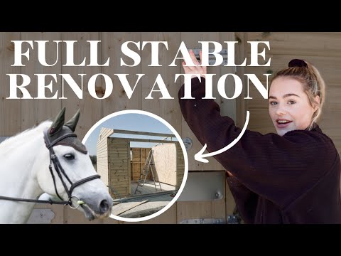 ESME'S FULL STABLE RENOVATION