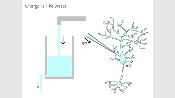 PHPH20007 - computational neuroscience lecture 1.2