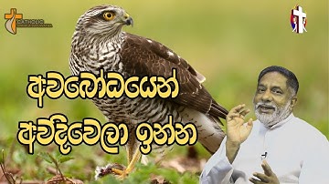අවබොදයෙන් අවදිවෙලා ඉන්න 03/10/2025  Thought for the day Sinhala   දවසේ සිතුවිල්ල
