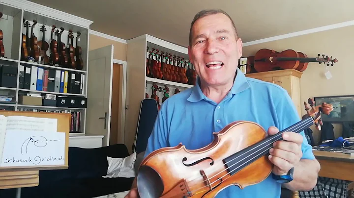 Shapes and Characters of Violins
