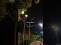 Apna bana le - lyrics status aesthetic status#shorts#song