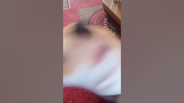 ах тыж Су....