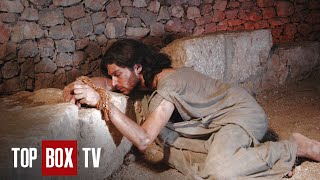 What The Ancient Justice System Was Like - Living in The Time of Jesus - Crime and Punishment