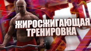 Жиросжигающая тренировка + выносливость. Делать после силовой! Жиросжигающая тренировка + выносливость. Делать после силовой!