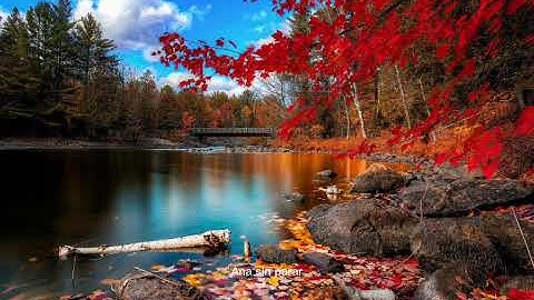 تلاوة خاشعة ومؤثرة من آخر سورة مريم بصوت القارئ مصطفى أمين (أرح سمعك 🎧)