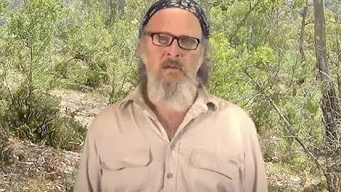 Metabarcoding of soil eDNA identifies bacterial rewilding during revegetation