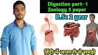 What is Food|| Components of Food||Digestion part-1||B.Sc 2 year Zoology third paper