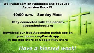 Fourteenth Sunday in Ordinary Time