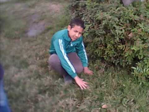 مهرجانات ابو حنين