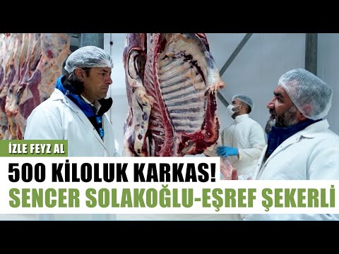 500 Kiloluk Karkas Etler! Sencer Solakoğlu Ve Eşref Şekerli | İzle Feyz Al -  Arşiv